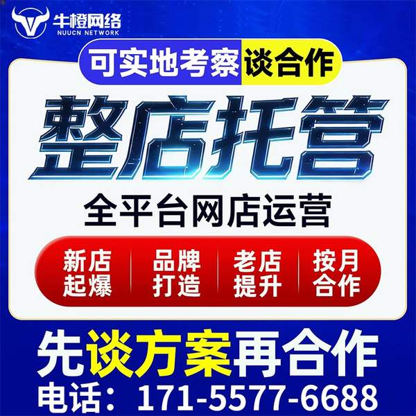 晋城电商代运营